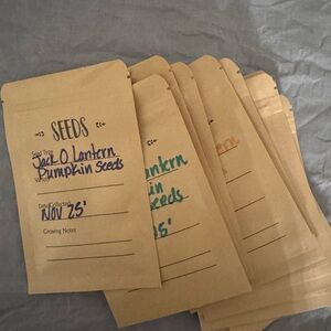 Home harvest pumpkin seeds